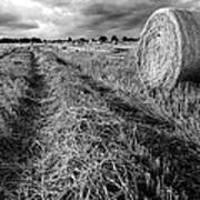 Texas Hill Country Hay Field Poster