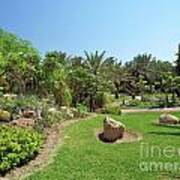 The Tropical Garden In Kibbutz Ein Gedi 04 Poster