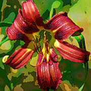 Tiger Lily Poster