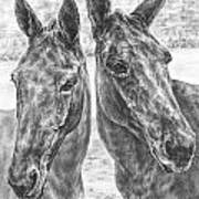 Trail Mates - Mule Portrait Art Print Poster