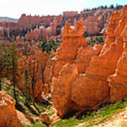 Trail View Bryce Canyon Poster
