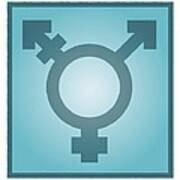 Transgender Symbol, Artwork Poster