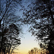 Tree Silhouette At Sunset 1 Poster