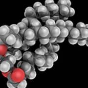 Triglyceride Molecule Poster