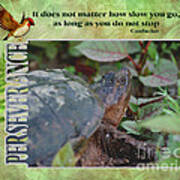 Turtle Perseverance Inspirational Quote Poster