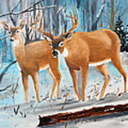 Two Deer Poster