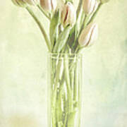 Watercolour Tulips Poster