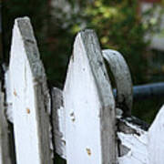 White Picket Fence Poster