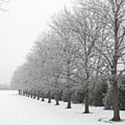Winter Hoar Frost On Trees Poster