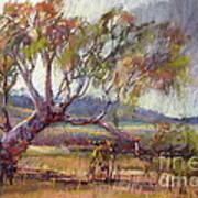 Winter Redgum Poster