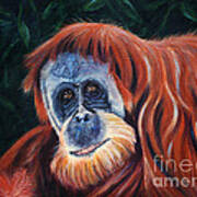 Wise One - Orangutan Wildlife Painting Poster
