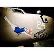 Ww2 Consolidated B-24d Liberator Poster