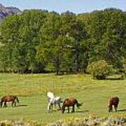 Wyoming Landscape With Horses Poster
