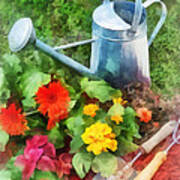 Zinnias And Watering Can Poster