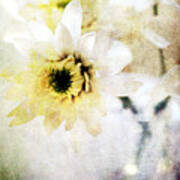 White Flower Poster