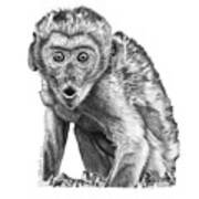 057 Madhula The Monkey Poster