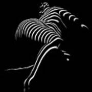 0773-ar Striped Zebra Woman Side View Abstract Black And White Photograph By Chris Maher Poster