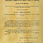 19th Amendment, 1919 #2 Poster