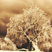 After The Ice Storm #1 Poster