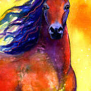 Arabian Horse 1 Painting #1 Poster