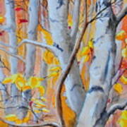 Autumn Birch #1 Poster