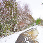 Back Road, Pocono Mountain Thicket In Winter #1 Poster