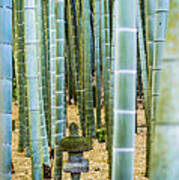Bamboo Forest, Japan #1 Poster