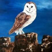 Barn Owl #1 Poster