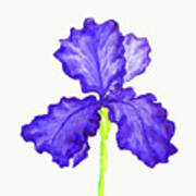 Blur Iris, Painting #1 Poster