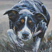 Border Collie #1 Poster