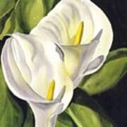 Calla Lily #2 Poster