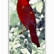 Cardinal #1 Poster