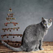 Cat Christmas #1 Poster