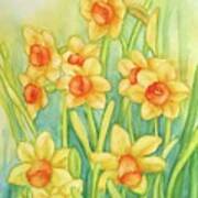 Daffodils In Yellow #2 Poster