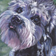 Dandie Dinmont Terrier #1 Poster