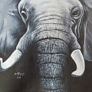 Elephant  #1 Poster