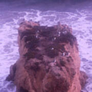 Fat Boulder From El Matador Beach #1 Poster