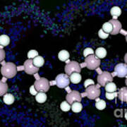 Fentanyl, Molecular Model #1 Poster