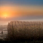 Foggy Sunrise Over Mn Cornfields #1 Poster