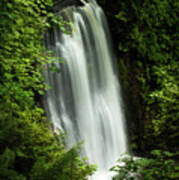 Forest Waterfall #1 Poster