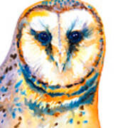 Gorgeous Barn Owl #1 Poster