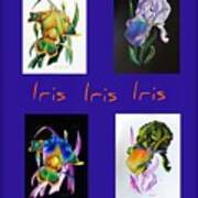 Iris #1 Poster