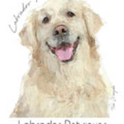 Labrador Retriever Poster #1 Poster