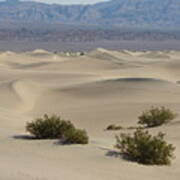 Mesquite Sand Dunes Ii Poster