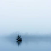 Minimalist Tree In The Fog. #1 Poster