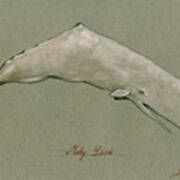 Moby Dick The White Sperm Whale  #1 Poster