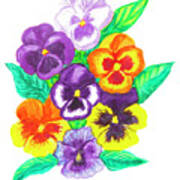 Pansies, Watercolour Painting #1 Poster