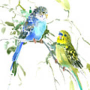 Parakeets #1 Poster