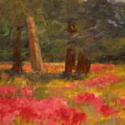 Poppy Meadow Poster