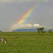 Rainbow Over The Masai Mara #1 Poster